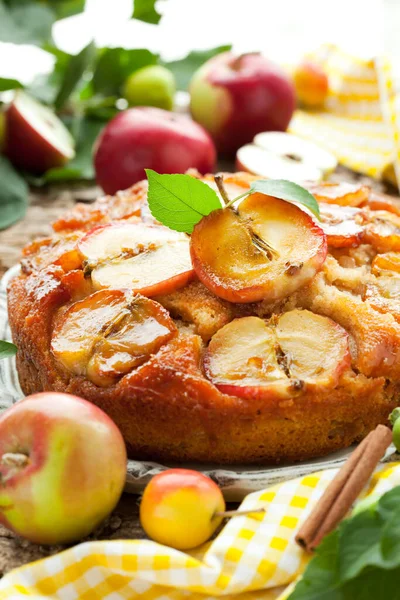 Apple Cake — стоковое фото