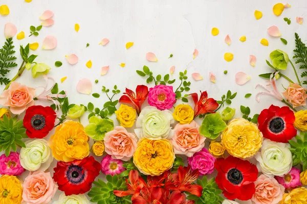 Piękna Kompozycja Kwiatów Rozmieszczenie Anemonów Róż Ranunkulus Tropikalnych Kwiatów Soczyste — Zdjęcie stockowe