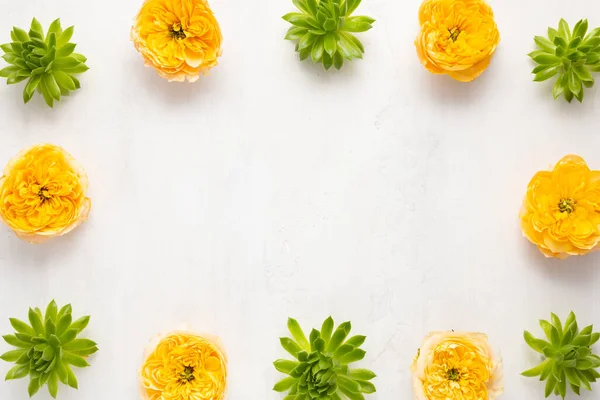 Güzel Yeşil Sulu Bitkilerin Açık Arkaplanda Sarı Bahçe Güllerinin Bileşimi — Stok fotoğraf