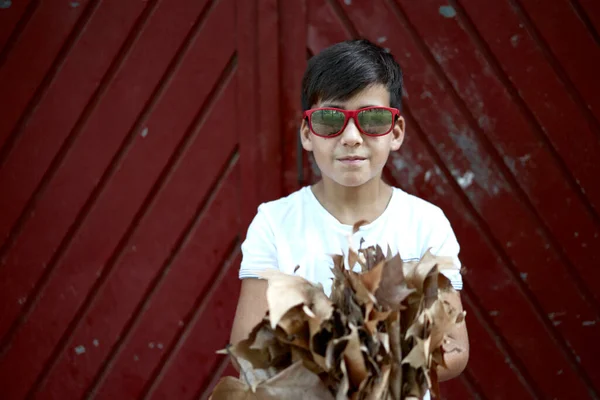 Осенний Мальчик Портрет Осенью Желтые Листья Ребенок Парке Открытом Воздухе — стоковое фото