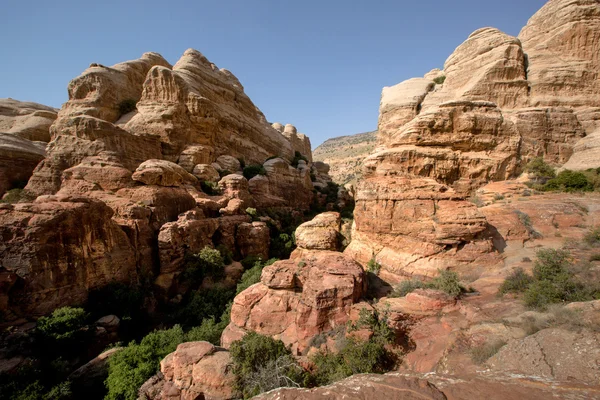 Krajobraz parku narodowego dana, jordan — Zdjęcie stockowe