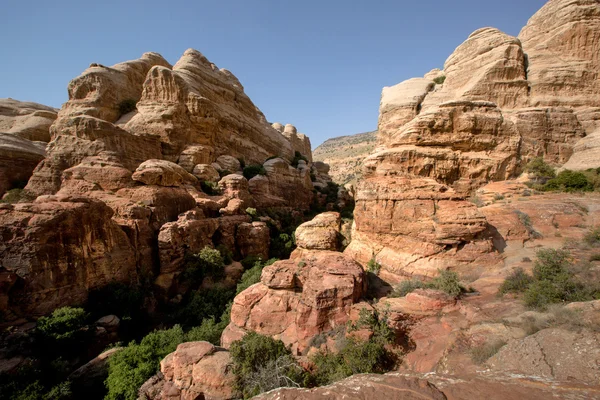 Landschap van dana nationaal park, Jordanië — Stockfoto