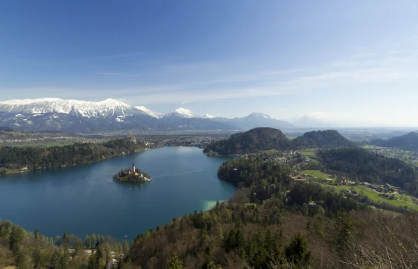 Vista sull'isola di Bled, Slovenia Foto Stock