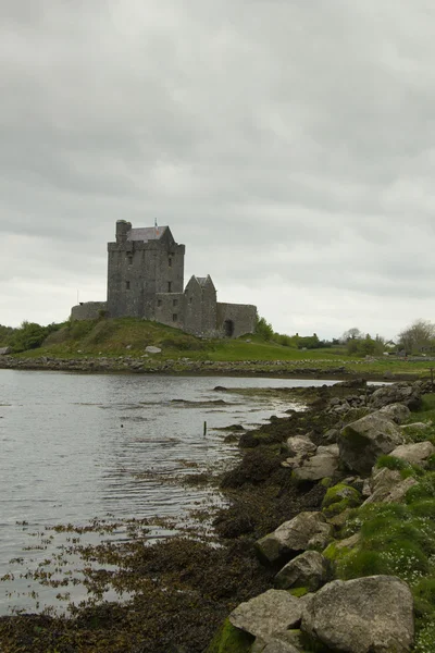 垂直方向の位置でアイルランドの城 — ストック写真