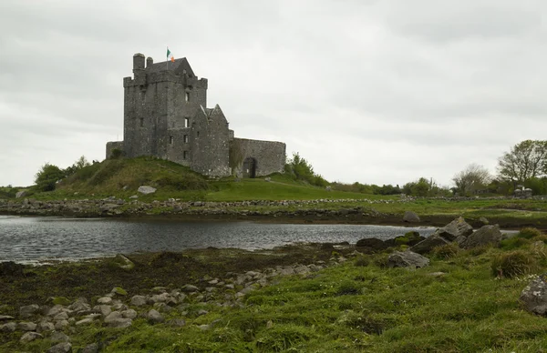 Dunguaire castle, Irland — Stockfoto