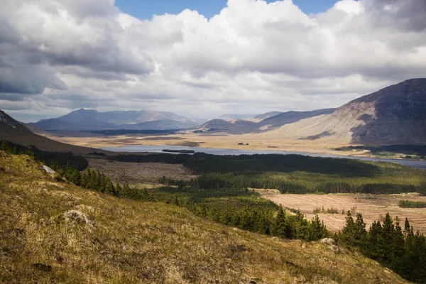 Killarney Milli Parkı — Stok fotoğraf