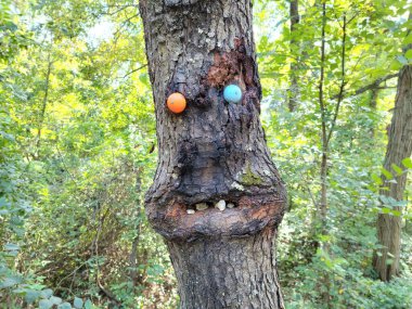 Ağaçta, ağaçta, golf topu gibi gözlerle.