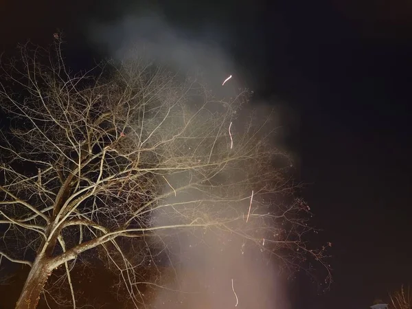Fumaça com brasas de fogo e árvore à noite — Fotografia de Stock