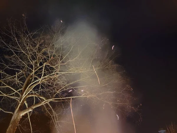 Fumée avec braises de feu et arbre le soir — Photo