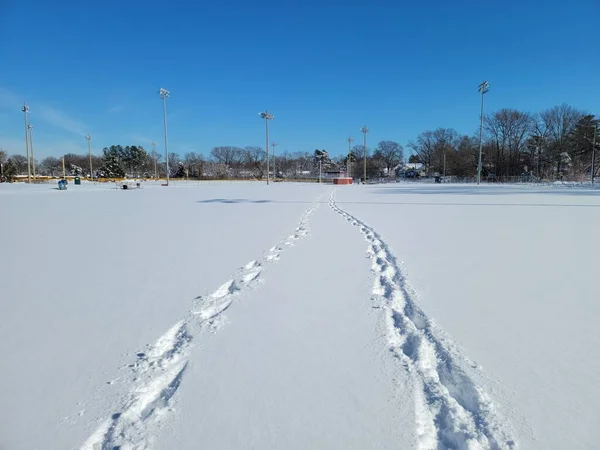 Odciski stóp w śniegu na polu w zimie — Zdjęcie stockowe