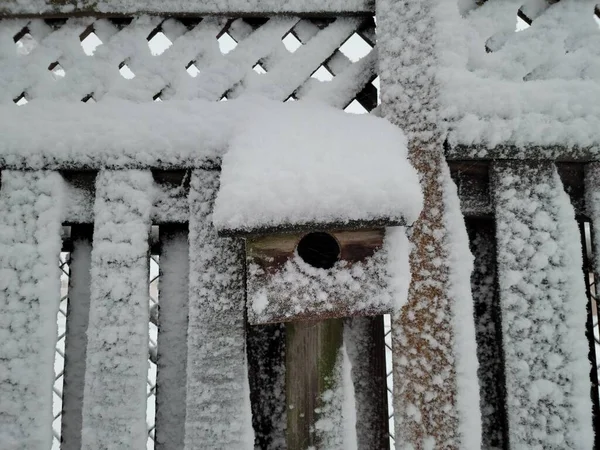Vogelhuis met sneeuw en ijs op houten hek — Stockfoto