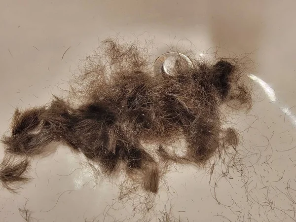 Capelli Rasati Tagliati Con Forfora Lavandino Lavabo Bagno — Foto Stock