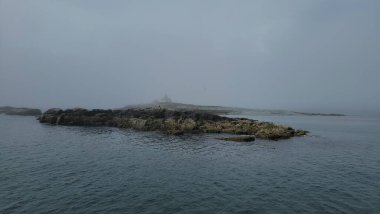 Adadaki kel kartal kuşu Maine sahilinde kayalıklarla