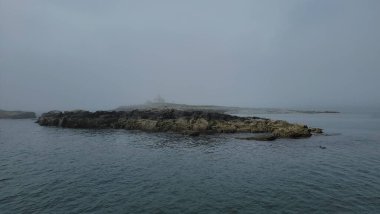 Adadaki kel kartal kuşu Maine sahilinde kayalıklarla