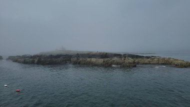 Kel kartal adada kaya ve ıstakoz yüzüyor Maine sahillerinde