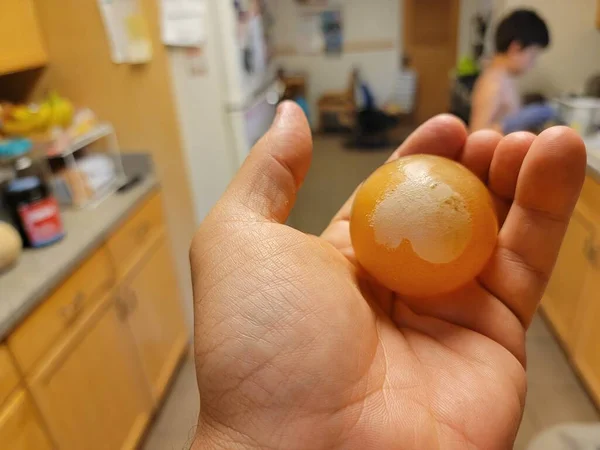 Mão Segurando Ovo Que Era Xícara Vinagre Enquanto Criança Experimenta — Fotografia de Stock