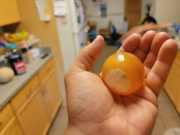 Mão Segurando Ovo Que Era Xícara Vinagre Enquanto Criança Experimenta — Fotografia de Stock