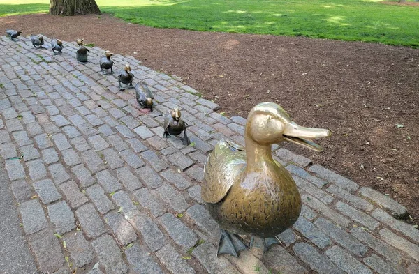 Kupfer Entenmutter Und Entchen Statue Boston Commons — Stockfoto