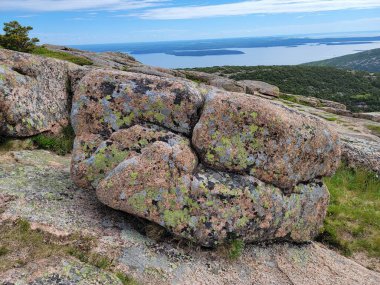 Dağda geniş pembe granit kaya jeolojisi üzerine çeşitli liken çeşitleri