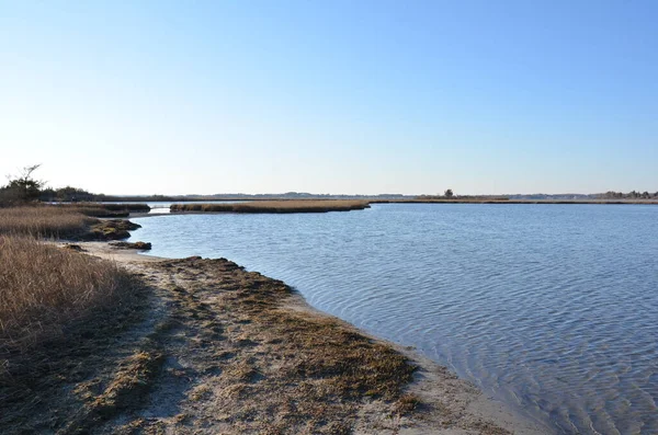 Kahverengi Otları Bitkileri Kıyıları Olan Bir Göl Nehir — Stok fotoğraf
