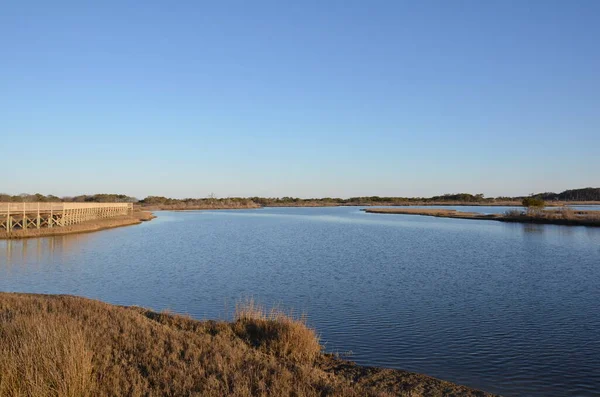 Een Meer Rivier Met Bruine Grassen Planten Kust — Stockfoto