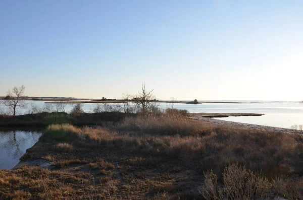 Lac Une Rivière Avec Des Herbes Des Plantes Brunes Rivage — Photo