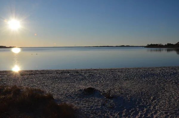 Lago Río Con Hierbas Plantas Pardas Orilla — Foto de Stock