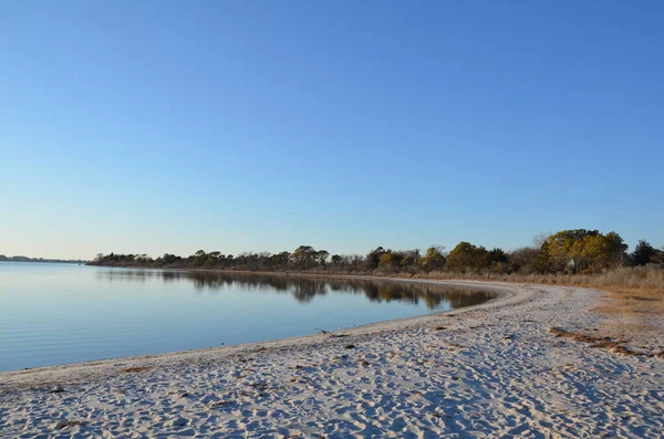 Lake River Brown Grasses Plants Shore Sand — Stock Photo, Image