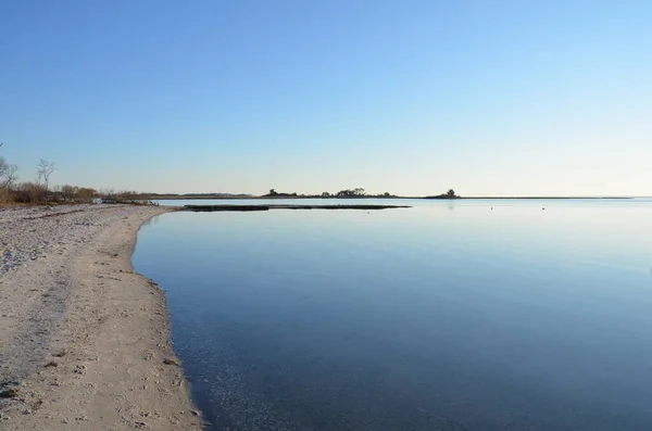 Lake River Brown Grasses Plants Shore Sand — Stock Photo, Image