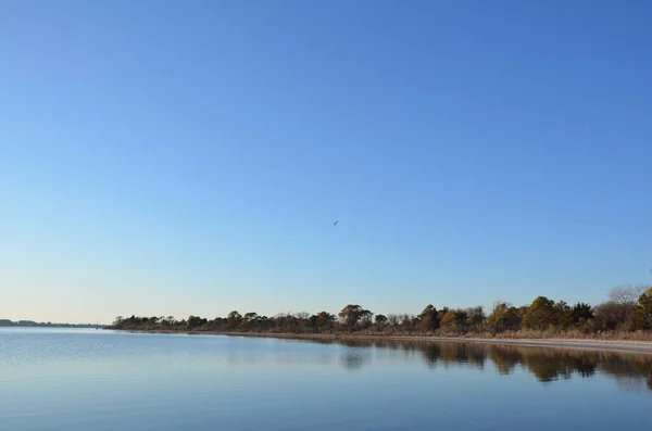 Lac Une Rivière Avec Des Herbes Des Plantes Brunes Rivage — Photo