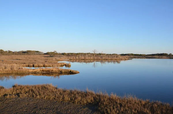 Een Meer Rivier Met Bruine Grassen Planten Kust — Stockfoto