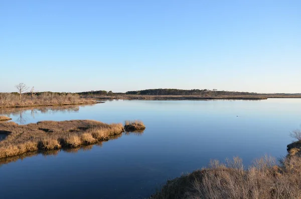 Lac Une Rivière Avec Des Herbes Des Plantes Brunes Rivage — Photo