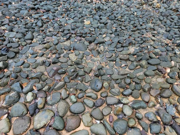 Våta Stenar Eller Stenar Med Sand Eller Smuts Marken Utomhus — Stockfoto