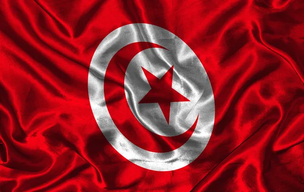 Seidenfahne von Tunis — Stockfoto