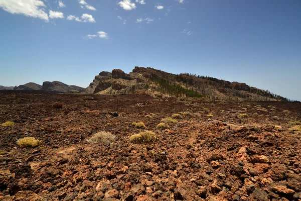 Campo de lava — Fotografia de Stock