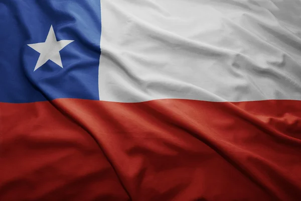 Şili Bayrağı — Stok fotoğraf