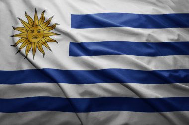 uruguay bayrağı
