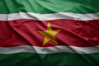 Surinam Cumhuriyeti bayrağı
