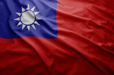 Tayvan bayrağı