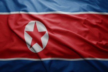 Kuzey Kore bayrağı
