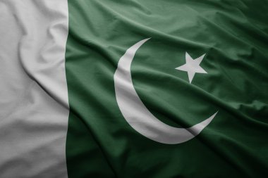 pakistan bayrağı