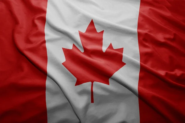 Kanadas flagg — Stockfoto