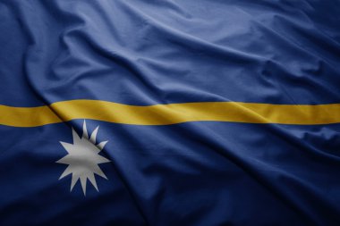 nauru Cumhuriyeti bayrağı