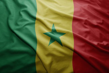 senegal Cumhuriyeti bayrağı
