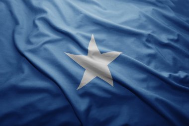 Somali bayrağı