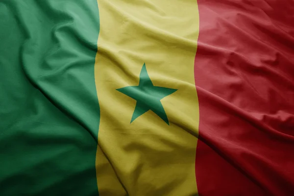 Flag of Senegal — Stock Photo, Image