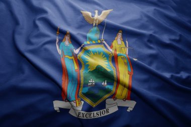 new york eyalet bayrağı