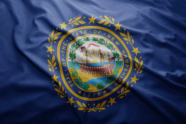 Flag of New Hampshire state — Stock Photo, Image