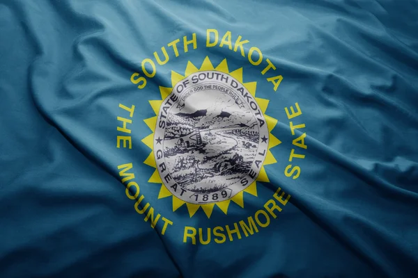 Vlag van south dakota staat — Stockfoto