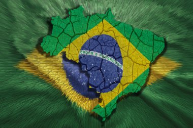 Brazilian Map clipart